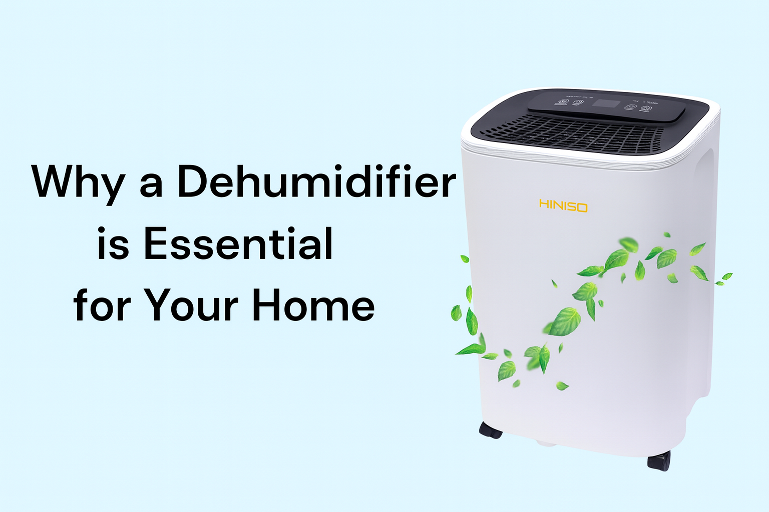 Why a Dehumidifier is Essential for Your Home